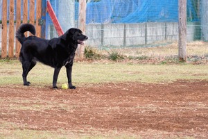 DSC_2190 (2)