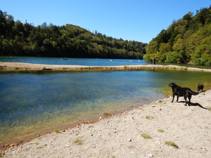 DSCN0571