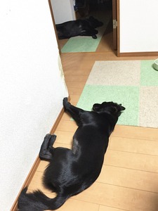 20151030_100938547_iOS (2)