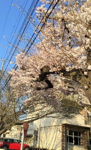 20150330_073115414_iOS (2)