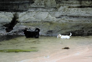 DSC_0910 (2)