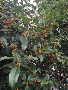 20150924_000128949_iOS