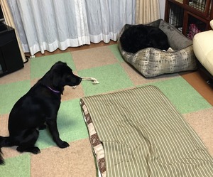 20160111_164939707_iOS (2)