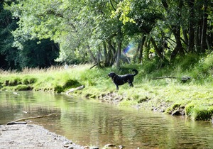 DSC_2760 (2)