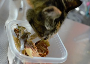 DSC_4727 (2)