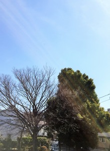 20150302_015121405_iOS (2)