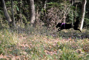 DSC_3635 (2)