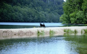 DSC_2852 (2)