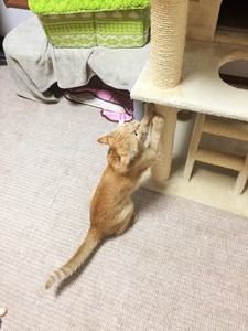 20150424_161821262_iOS