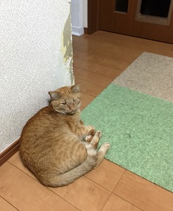 20160125_094119745_iOS