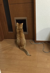 20150118_133851412_iOS