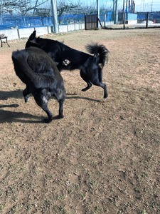 IMG_0348