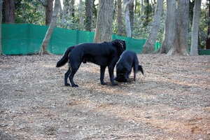 DSC_2264 (2)