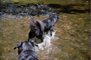 DSC_1161 (2)
