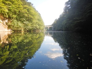 DSCN0347