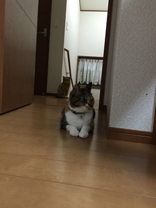 20150820_104431667_iOS