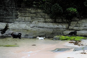 DSC_0909 (2)