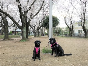 IMG_0580