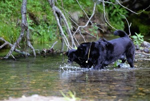 DSC_1358 (2)
