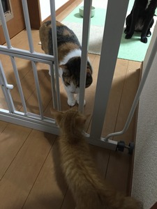 20150819_131914579_iOS