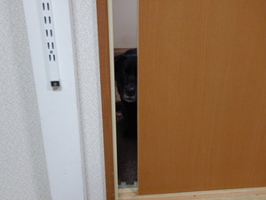 DSCN0213