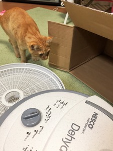 20150427_141437172_iOS (2)