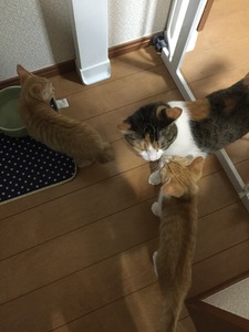 20150901_102403076_iOS