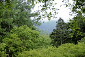 DSC_1576 (2)