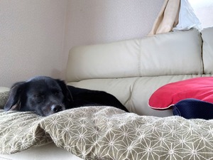 IMG_5548