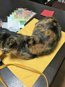 BlogPaint