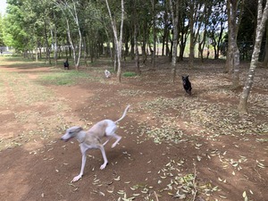 IMG_6430