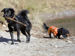 DSC_8687 (2)