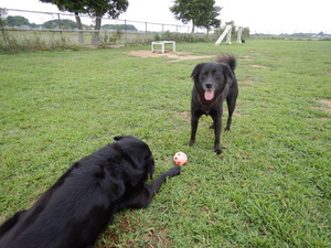 DSCN0399