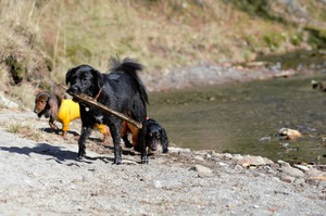 DSC_8686 (2)