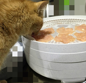 BlogPaint
