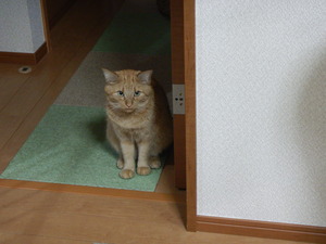 DSCN0209