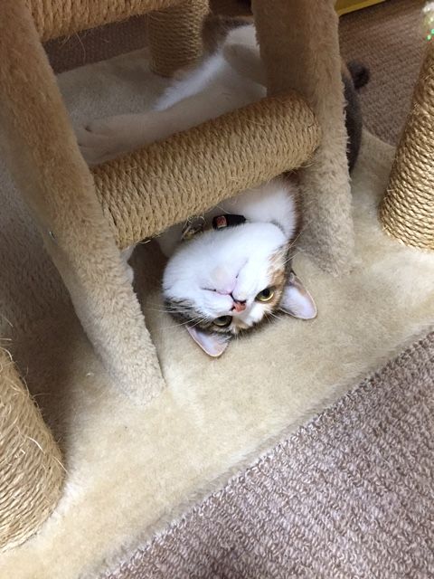 111302