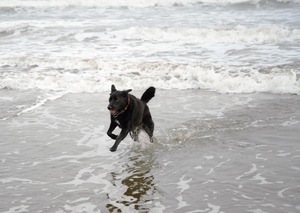 DSC_5013 (2)