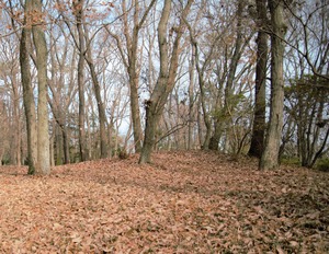 DSC_3599 (2)