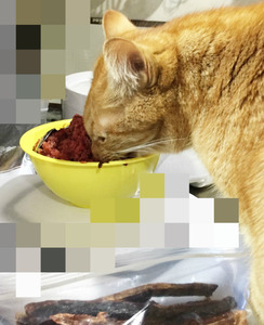 BlogPaint