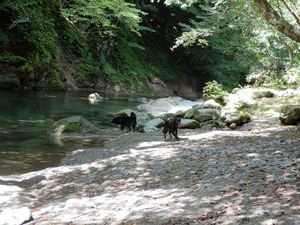 DSCN0226