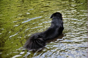 DSC_1071 (2)
