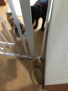 20150819_131834723_iOS
