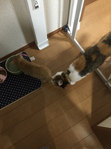 20150901_102345867_iOS