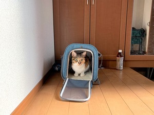 IMG_5054
