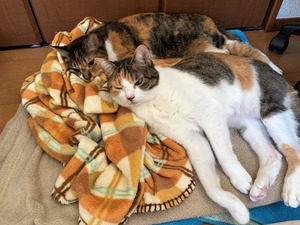 IMG_5053