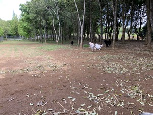 IMG_6456