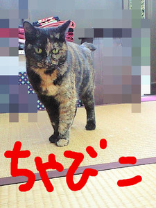 BlogPaint