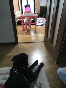 InkedIMG_3953_LI