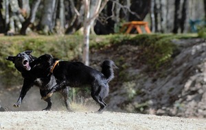 DSC_8698 (2)